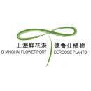 上海鲜花港德鲁仕植物有限公司