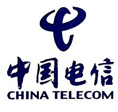 中国电信股份有限公司天等分公司