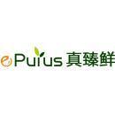 上海鲜易采信息科技有限公司