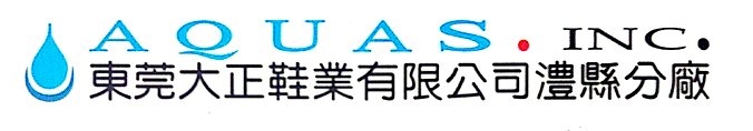 东莞大正鞋业有限公司