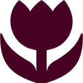 Flyway Digital Solutions