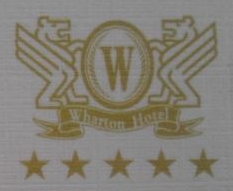 广西沃顿国际大酒店有限公司