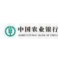 中国农业银行股份有限公司合肥大数据产业园支行