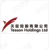 Tesson Holdings Limited