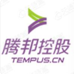 Tempus Holdings Limited