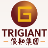 Trigiant Group Limited