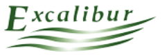 EXCALIBUR GLOBAL FINANCIAL HOLDINGS LIMITED