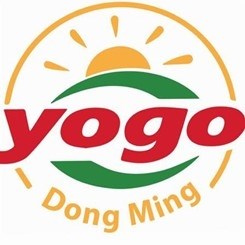 Yoko & Dongming Company Limited