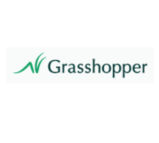 Grasshopper Bancorp Inc