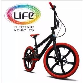 Life Electric Vehicles Holdings Inc