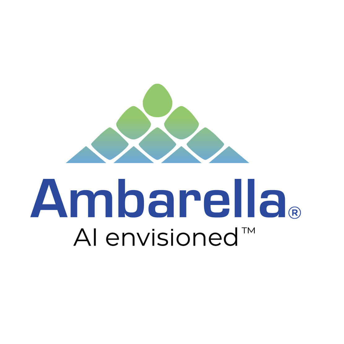 Ambarella Inc