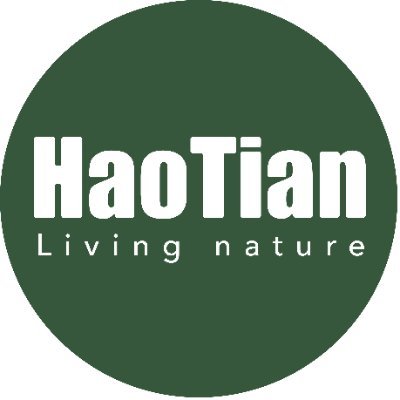 HAOTIAN GROUP INC