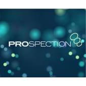 Prospection