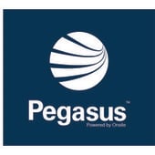 Pegasus Management