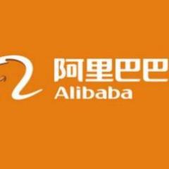 北京阿里巴巴信息技术有限公司-外企查