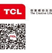 惠州TCL电器销售有限公司-外企查