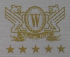 广西沃顿国际大酒店有限公司-外企查